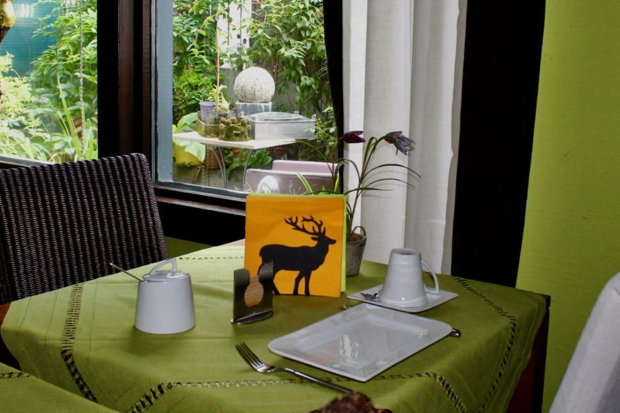 Hotel Donnersberg Darmstadt Ngoại thất bức ảnh